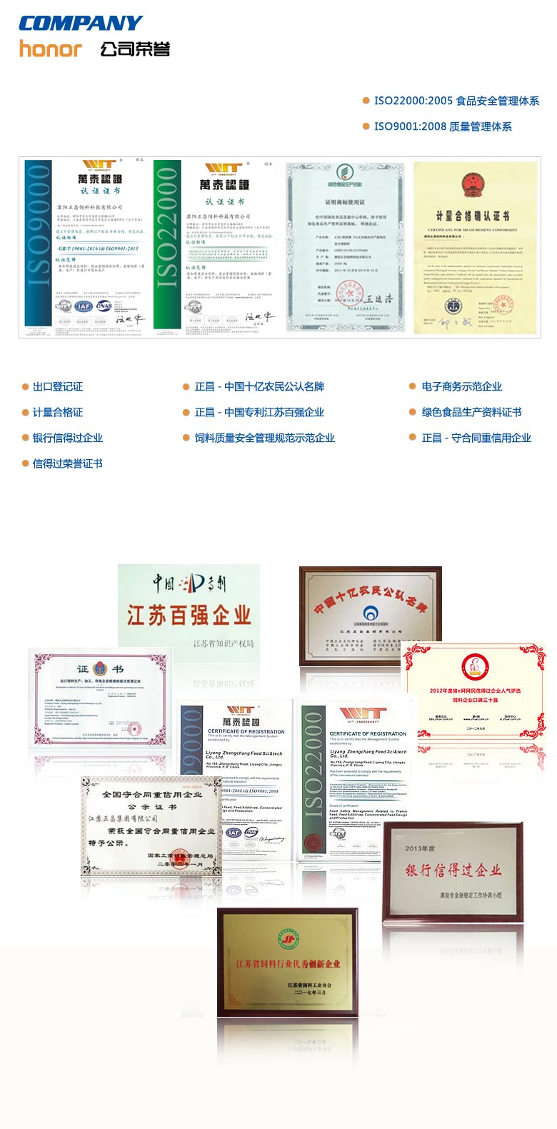 榮譽(yù).jpg